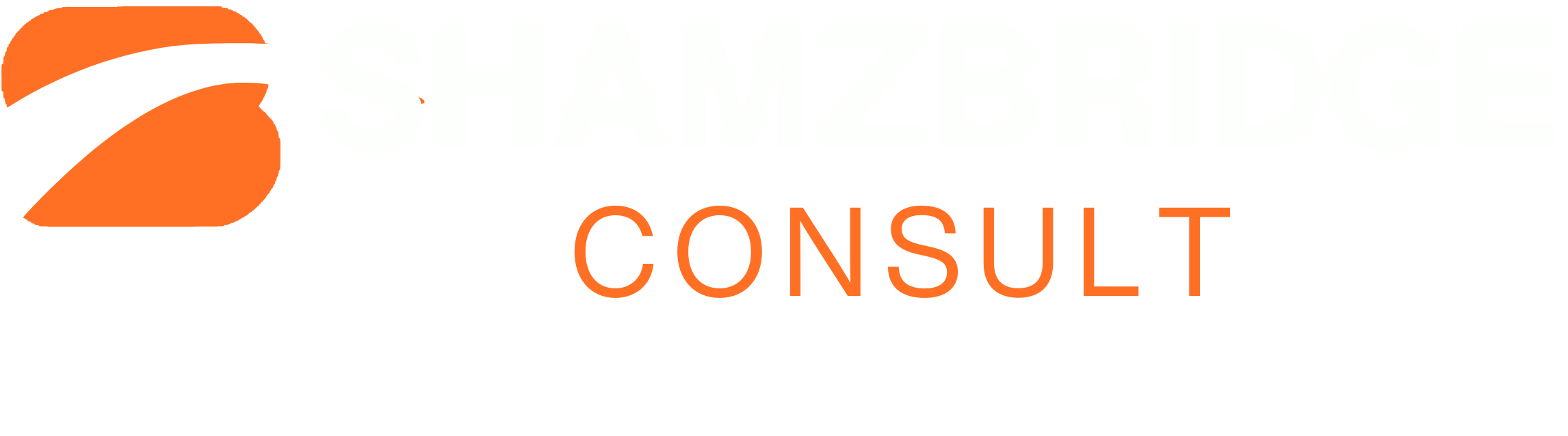 ShamzBridge logo